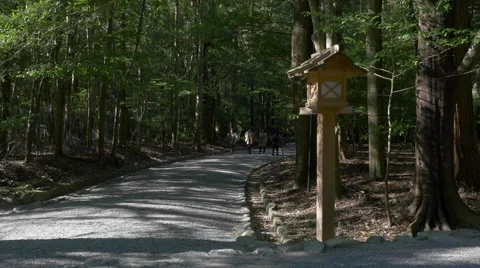 Path Through Forest at Ise Grand Shrine in Japan Stock Footage 45607766
