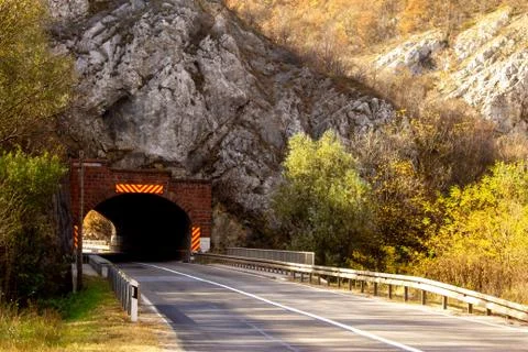 Path through forest by the lake Stock Photos