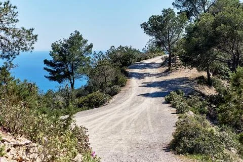 Path through the forest in the mountains of Ibiza Island. Spain Path throu... Foto stock