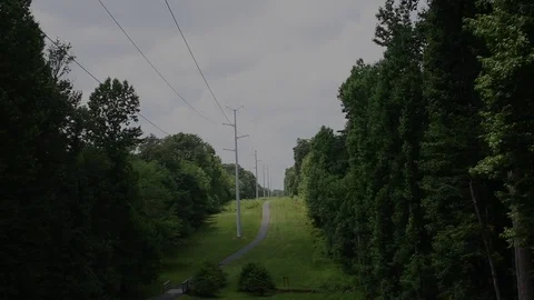 Path through a forest with power lines. Stock Footage 73424449