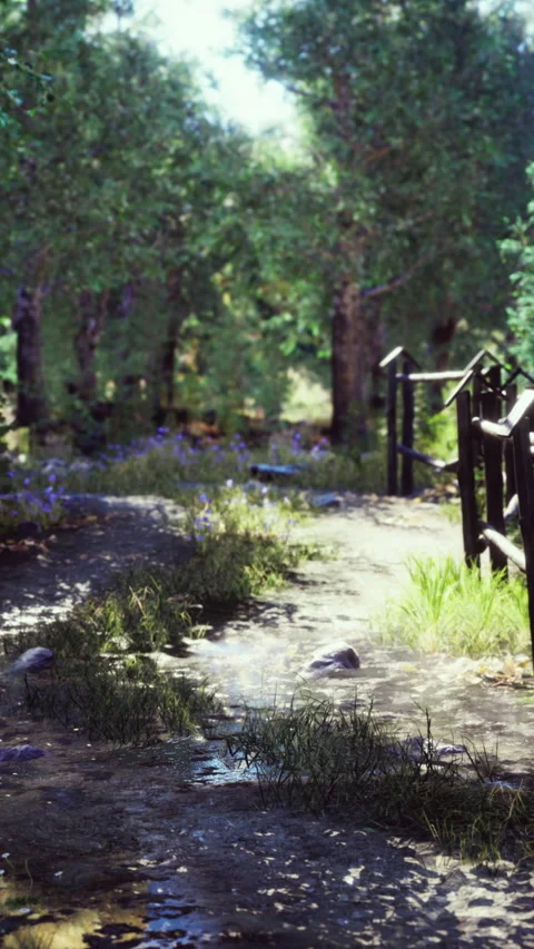 Path through forest with water and grass in bright sunlight Stock Footage 342647939
