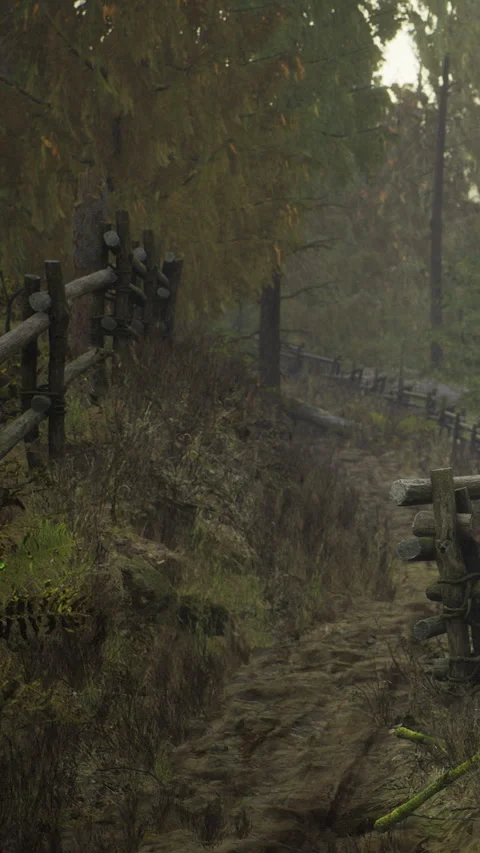 Path through the forest with wooden fence on each side in autumn season Vidéo 334885720