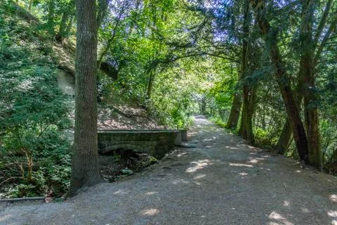 Path Through Forrest Foto stock