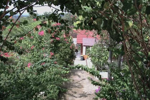 A path through a garden with a house in the background Stock Photos