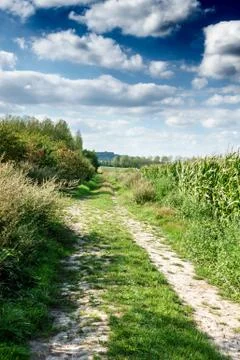 Path through grass field Stock Photos
