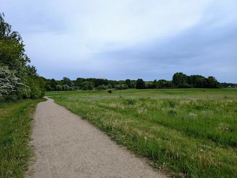 Path Through the grass Fields Stock Photos