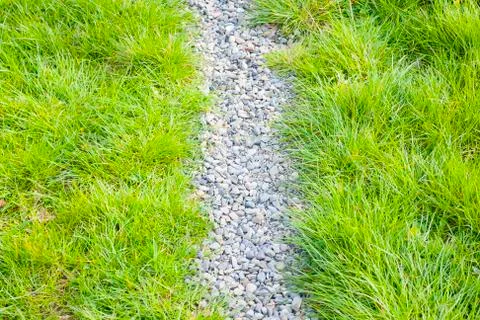 Path through the grass Stock Photos
