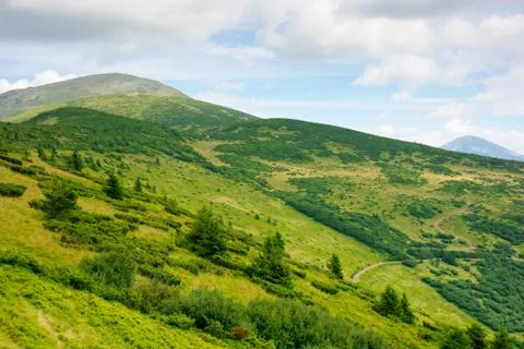 Path through grassy alpine mountain meadow Stock Photos