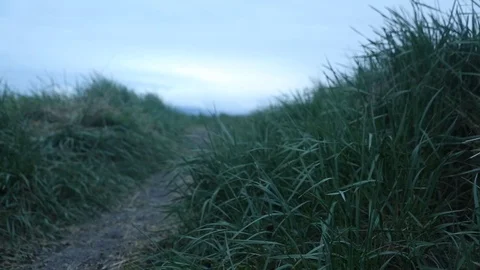 Path through grassy field, Iceland Video stock 71092999