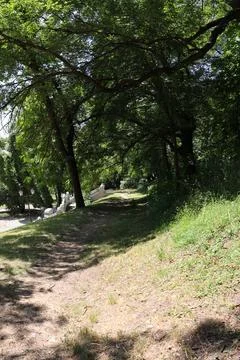 Path through a green area with trees and white benches during the day Stock Photos