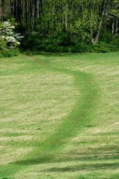 Path through a green field Foto stock