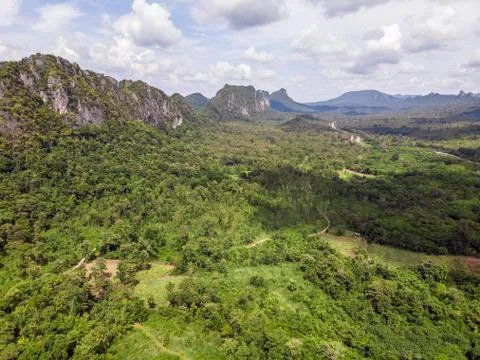 Path through the green forest and countryside of Thailand, Top view aerial ph Фото