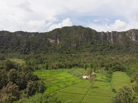 Path through the green forest and countryside of Thailand, Top view aerial ph Foto stock