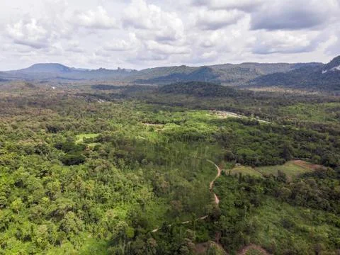 Path through the green forest and countryside of Thailand, Top view aerial ph 写真素材