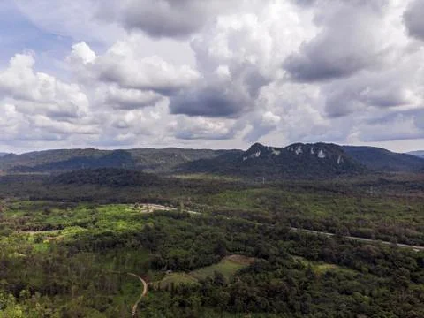 Path through the green forest and countryside of Thailand, Top view aerial ph Фото