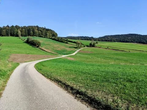 Path Through Green Grass Stock Photos