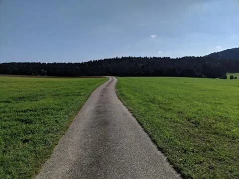 Path Through Green Grass Stock Photos