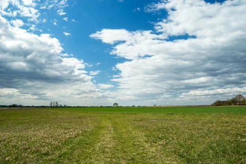 Path through green meadow and white clouds on blue sky Stock Photos