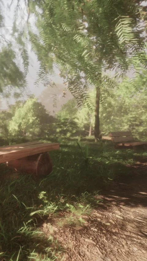 Path through a green park with wooden benches during morning light Stock Footage 342706321