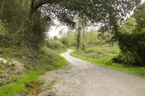 Path through green valley in Llanes town Stock Photos