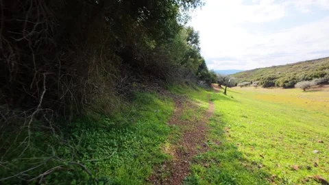 Path Through a Green Valley Near a Forest on an Autumn Day Vídeo Stock 303487759