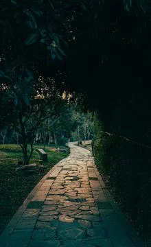 The path through grove to the far place 스톡 사진