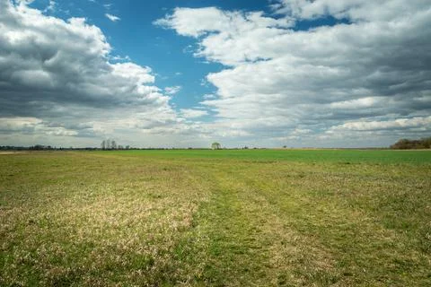 Path through a huge meadow and clouds to the sky Stock Photos