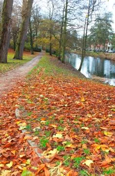 Path through leafs Stock Photos