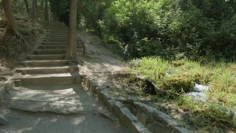 A path through the lush forest leads to a tranquil stream, with wooden stairs Stockbeeldmateriaal 259075324