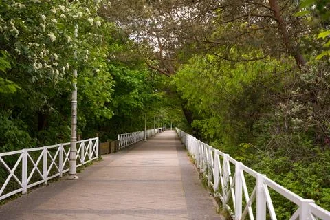 Path Through Lush Green Trees with White Railing in Dziwnw Stock Photos