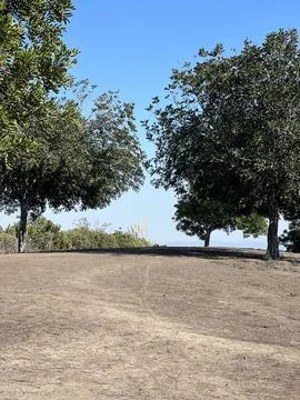 Path Through Lush Trees Leading to Serene Horizon by the Seaside Stock Photos