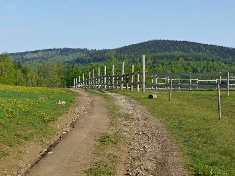 Path through the meadow Stock-Fotos