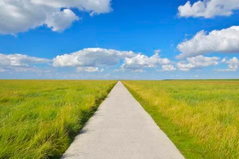 Path through Meadow in the Summer, Westerhever, Tating, Schleswig-Holstein, Stock Photos