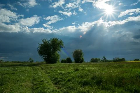 A path through a meadow with trees, a rainbow and a shining sun Stock Photos