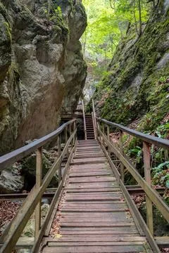 Path Through the Mossy Gorge Stock Photos
