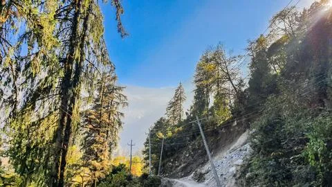 Path through the mountain forest. 库存照片