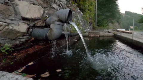 The path through nature Stock Footage 142774417