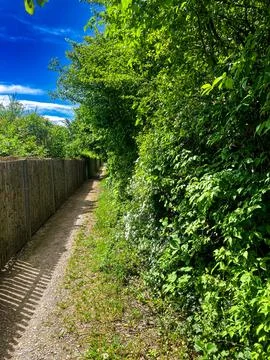 Path Through Nature 写真素材