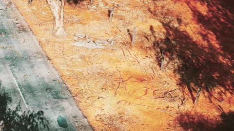 Path through orange soil next to a green road under bright sunlight Stock Footage 343500748