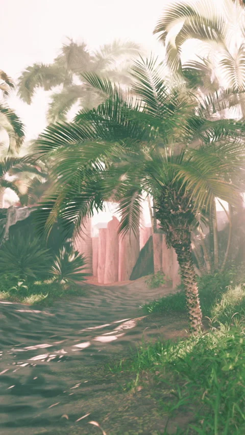 Path through the palm trees with soft sunlight and greenery in the background Stock Footage 343179237