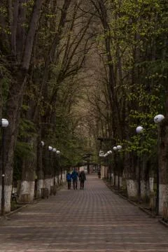 Path through park in bordschomi Stock Photos
