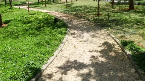 Path through the park Stock Footage 68030365