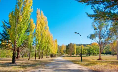 Path through the park Stock Photos
