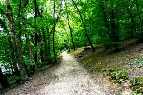 Path through the park Stock Photos