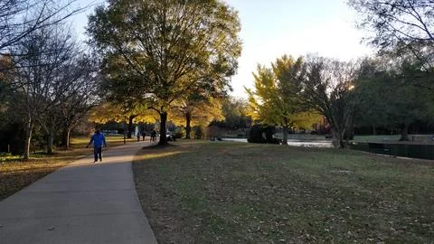 Path Through the Park Stock Photos