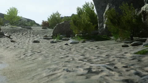 Path through a rocky area with plants and sand in bright daylight Stock Footage 345050101