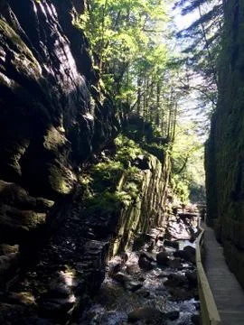 Path Through a Rocky Gorge Stock Photos