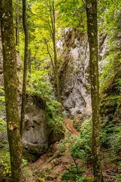 Path Through the Rocky Gorge Stock Photos