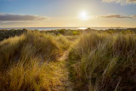Path through sand dunes to the North Sea at sunrise at Bamburgh in Stock Photos