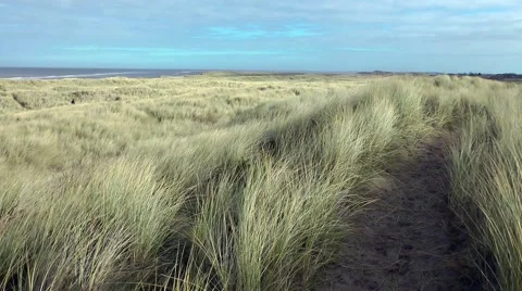Path through sand dunes swaying grass  wintry sky Stock Footage 47418297